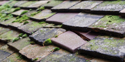 Millbrook roof repair costs